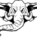 Elephant 006