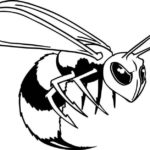 Bee 028