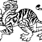 Tiger 067