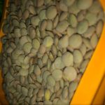 Green lentils by weight 25 kg