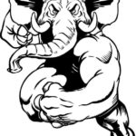 Elephant 009