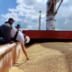 Milling wheat #3 FOB Novorossiysk