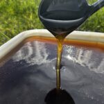 Classic honey, dark grass