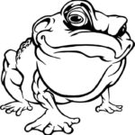 Frog 019