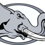 Elephant 005