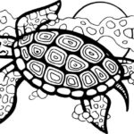 Turtle 016