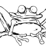 Frog 014