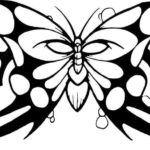 Butterfly 479
