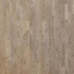 Natural wood parquet Focus Floor. Rainbow oak gray.